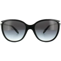 Cat Eye Black Grey Gradient Sunglasses