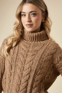Chunky Cable Knit Roll Neck High Low Hem Jumper