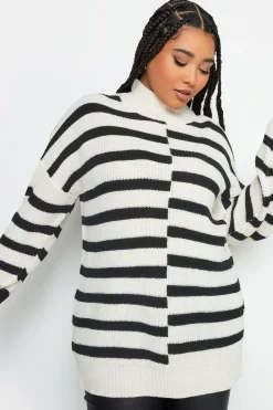 Contrast Stripe Turtle Neck Jumper