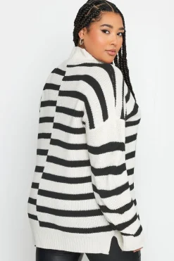 Contrast Stripe Turtle Neck Jumper