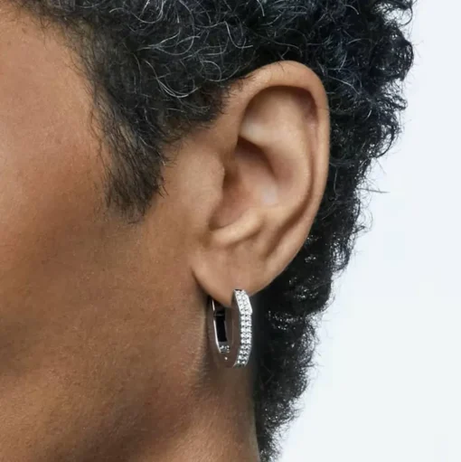 Dextera Crystal Octagon Small Hoop Earrings 5618307