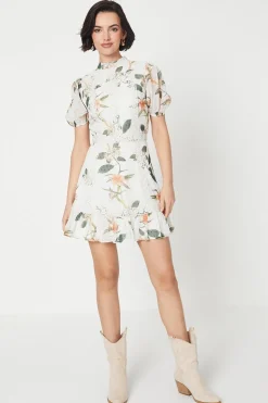 Floral Dobby Chiffon Lace Trim Mini Dress
