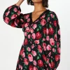 Floral Long Sleeve Lace Trim Button Front Mini Dress