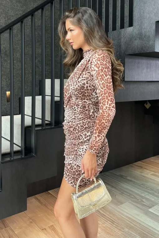 Leopard Print Long Sleeve Ruched Mesh Mini Dress
