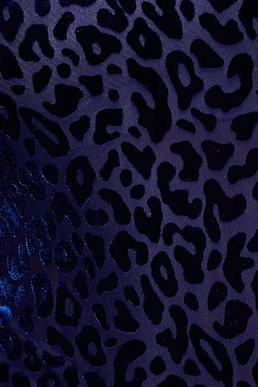 Leopard Velvet Burnout Long Sleeve Top