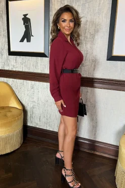 Long Sleeve Wrap Belted Mini Dress