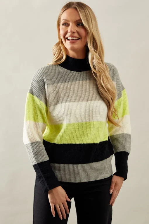 Multi Stripe High Neck Jumper