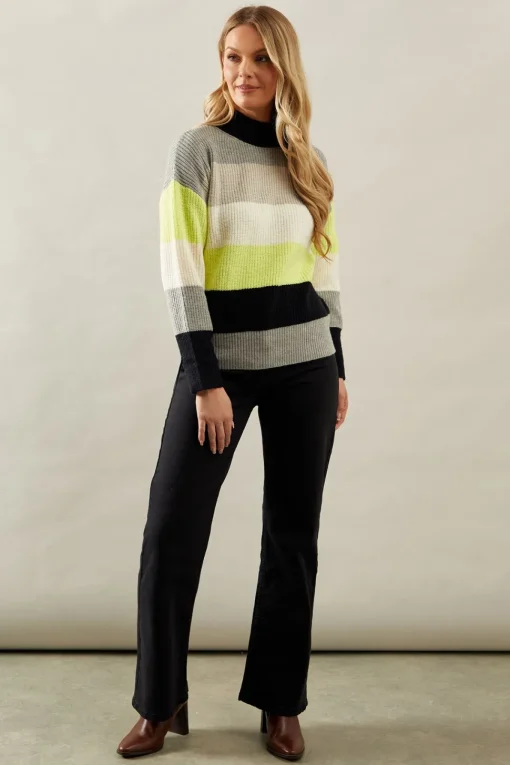 Multi Stripe High Neck Jumper
