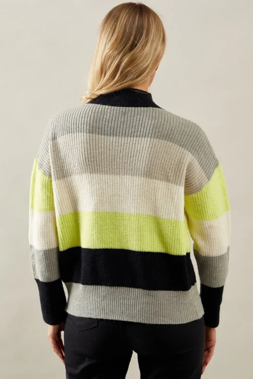 Multi Stripe High Neck Jumper