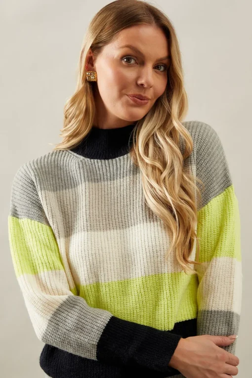 Multi Stripe High Neck Jumper
