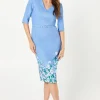 Occasion Floral 3/4 Sleeve Pencil Dress