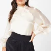 Organza Long Sleeve High Neck Blouse