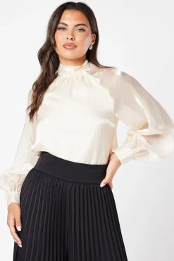Organza Long Sleeve High Neck Blouse