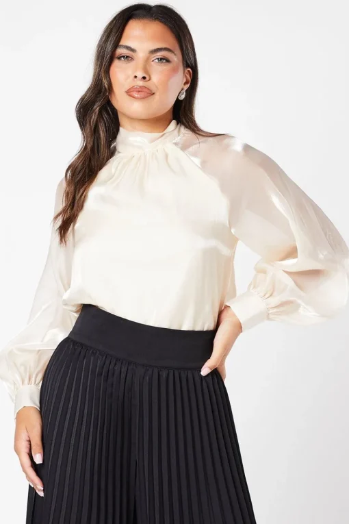 Organza Long Sleeve High Neck Blouse