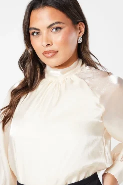 Organza Long Sleeve High Neck Blouse