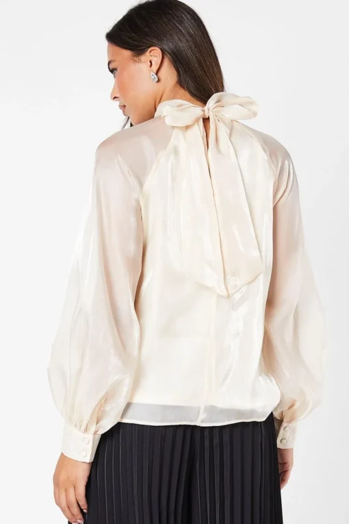 Organza Long Sleeve High Neck Blouse