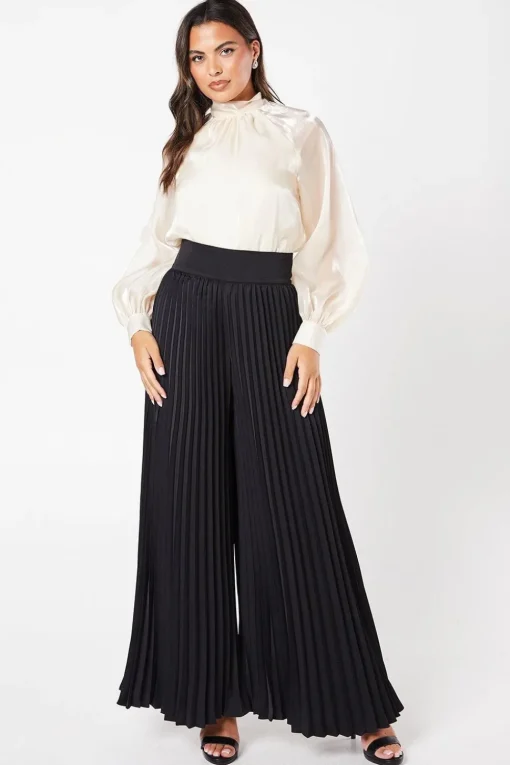 Organza Long Sleeve High Neck Blouse