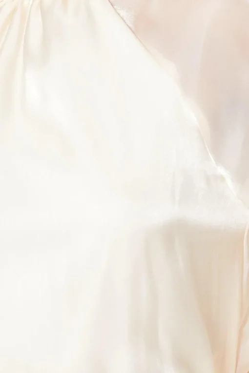 Organza Long Sleeve High Neck Blouse