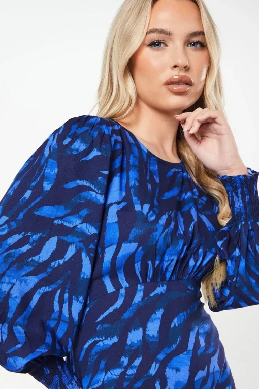 Petite Blue Zebra Shirred Hem Long Sleeve Blouse