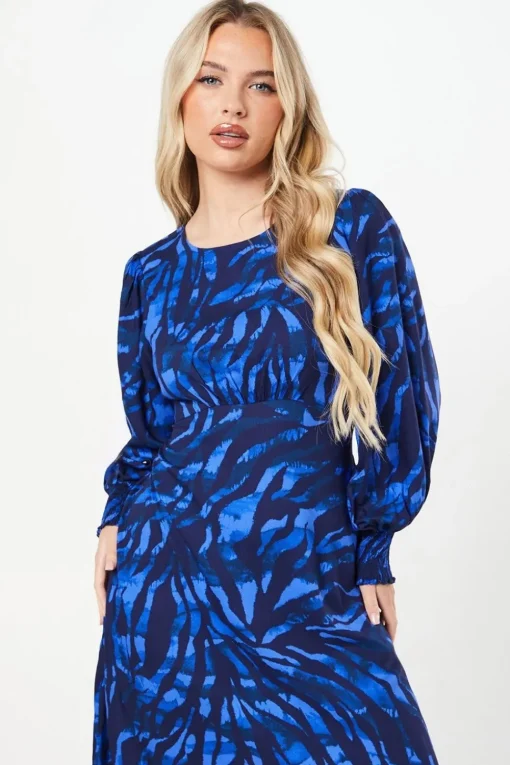 Petite Blue Zebra Shirred Hem Long Sleeve Blouse