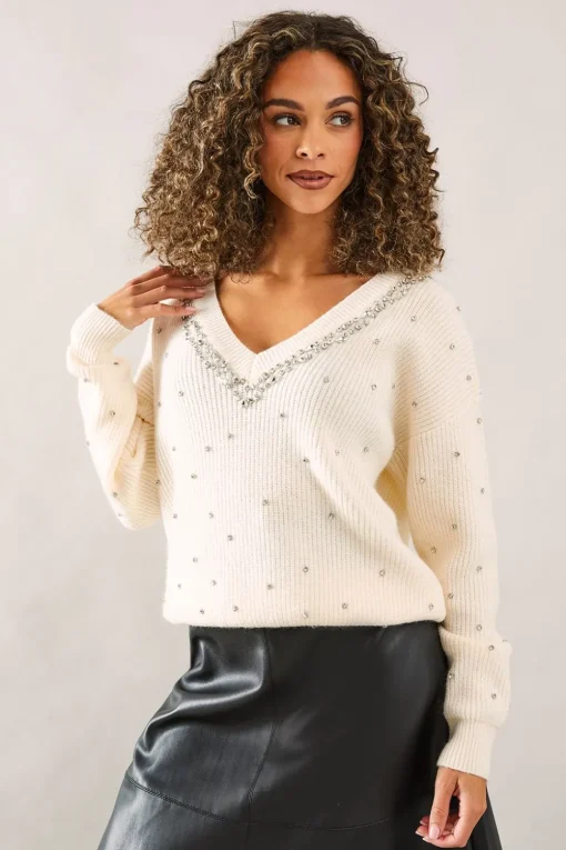 Petite Embellished Neck Trim V Neck Jumper
