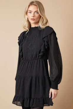 Petite Embroidered Dobby Chiffon Mini Dress