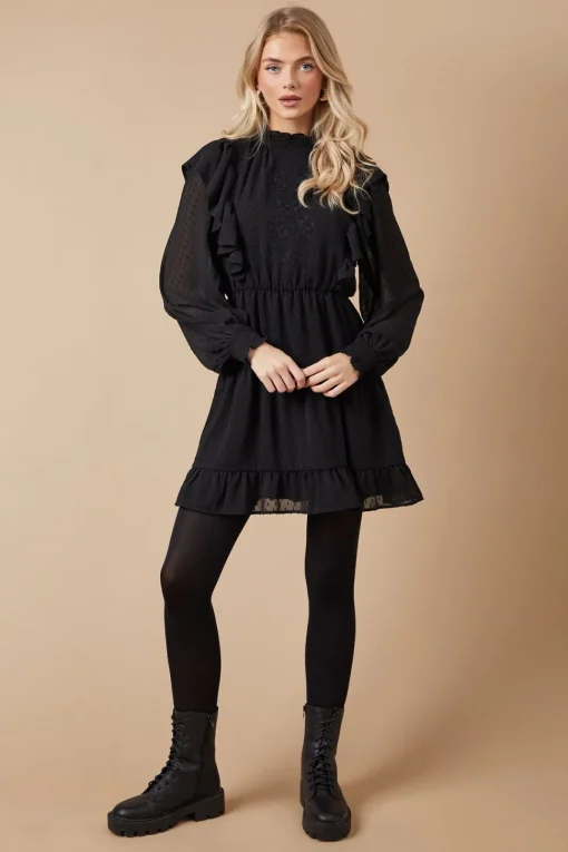 Petite Embroidered Dobby Chiffon Mini Dress