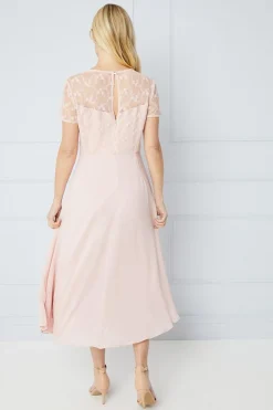Petite Occasion Lace Short Sleeve Midi Dress
