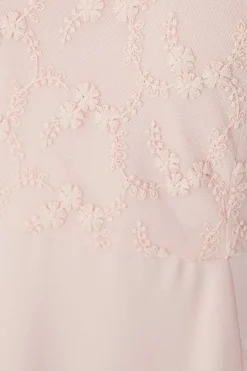 Petite Occasion Lace Short Sleeve Midi Dress