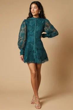 Petite Premium Organza Lace Trim Mini Shirt Dress