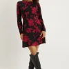 Petite Red Floral Puff Sleeve Fit And Flare Mini Dress