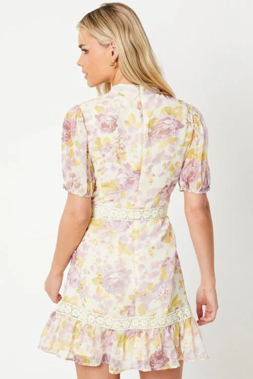 Petite Rose Floral Dobby Chiffon Lace Trim Mini Dress