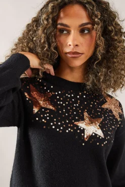 Petite Sequin Festive Star Jumper