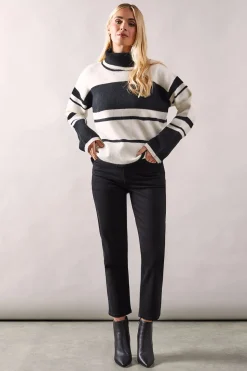 Petite Striped Colour Block Roll Neck Jumper