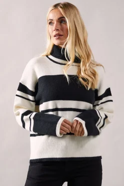 Petite Striped Colour Block Roll Neck Jumper