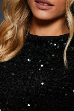 Petite Velvet Sequin Mini Dress