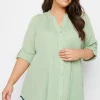 Pintuck Embellished Shirt