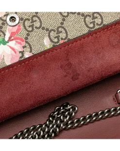 Preloved Floral Print Dionysus Crossbody with Suede Trim and Chain