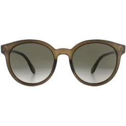 Round Polished Translucent Brown Brown Gradient Sunglasses
