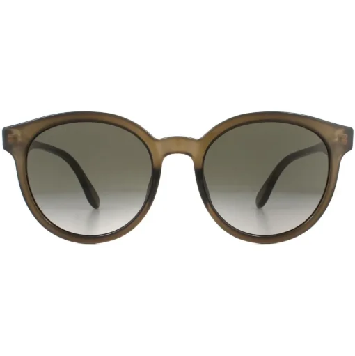 Round Polished Translucent Brown Brown Gradient Sunglasses