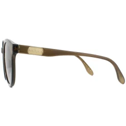 Round Polished Translucent Brown Brown Gradient Sunglasses
