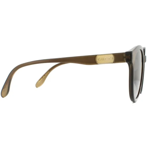Round Polished Translucent Brown Brown Gradient Sunglasses