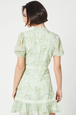 Sage Floral Dobby Chiffon Lace Trim Mini Dress