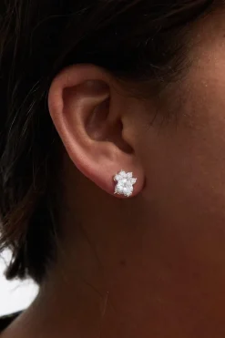 Sterling Silver 925 Paw Print Cubic Zirconia Earrings
