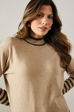 Stripe Sleeve Tie Waist High Neck Jumper