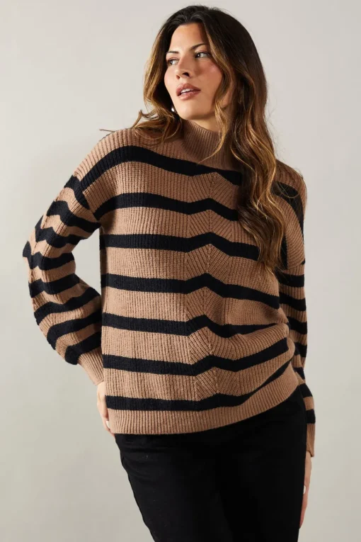 Striped High Neck Cosy Jumper