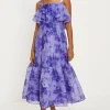 Tonal Blurred Floral Ruffle Organza Midi Dress