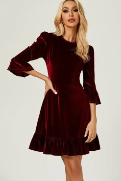 Velvet Frill Detail Mini Dress In Wine