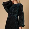 Velvet Long Sleeve Mini Dress
