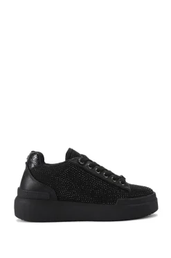 'Lilia'  Trainers
